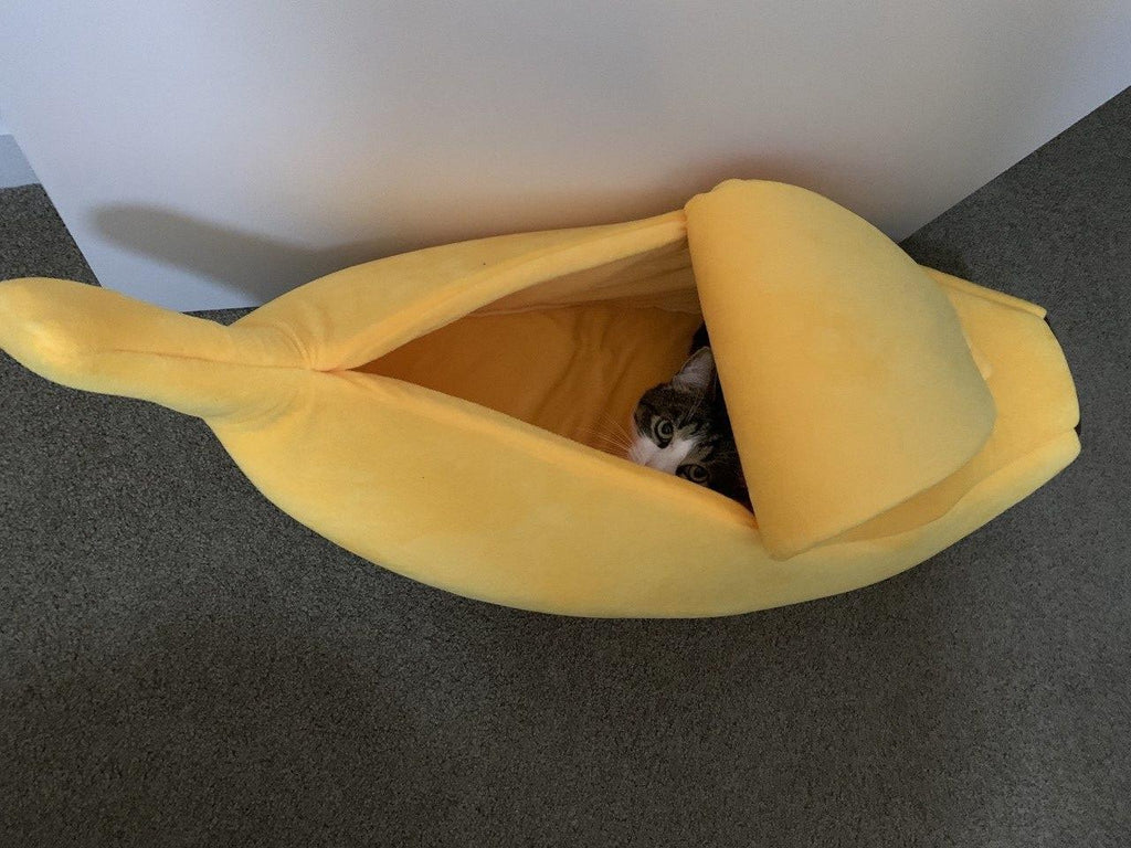 Cat banana clearance peel bed